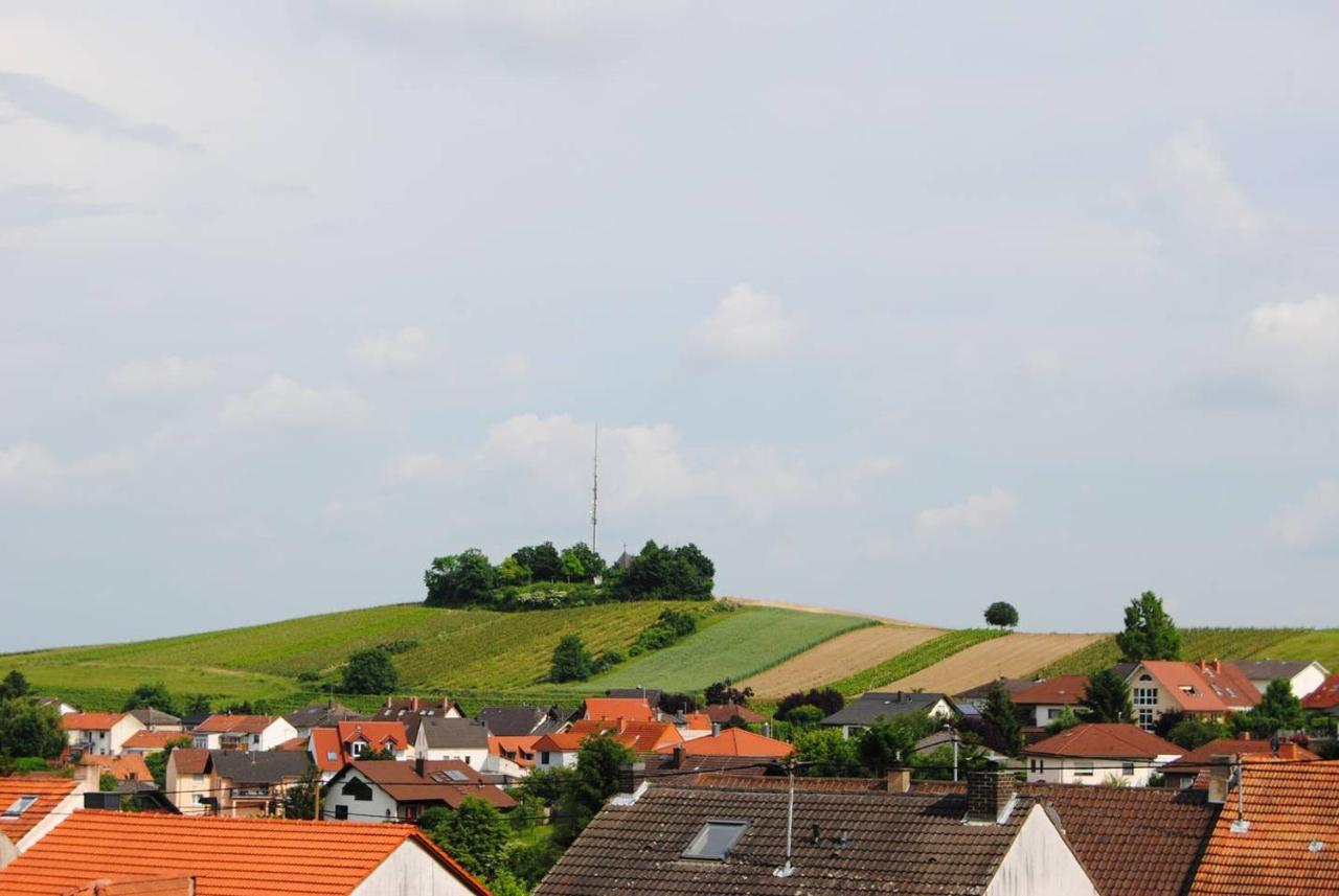Ferienwohnung Kirchbergblick Hackenheim Eksteriør billede